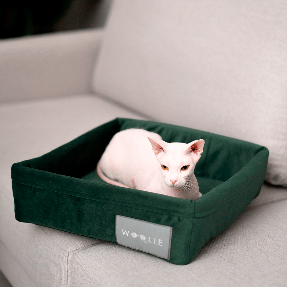 Cama Spot Woolie Verde para Gatos