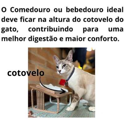 Comedouro Bastet Hórus para Gatos Madeirado