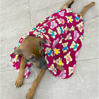 Cobertor Fábrica Pet Ultra Soft Ursinhos Carinhosos