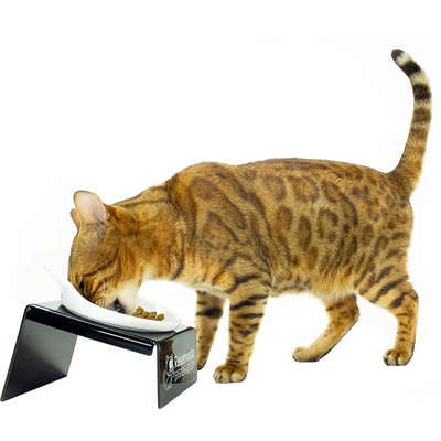 Comedouro CatMyPet Snack Cat Vermelho