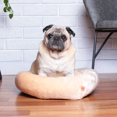 Cama Nuvem Meau Doce de Leite