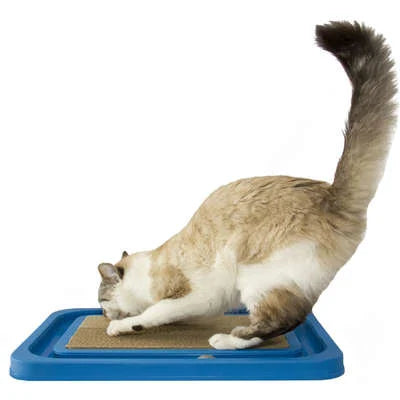 Cat Relax Furacão Pet Azul