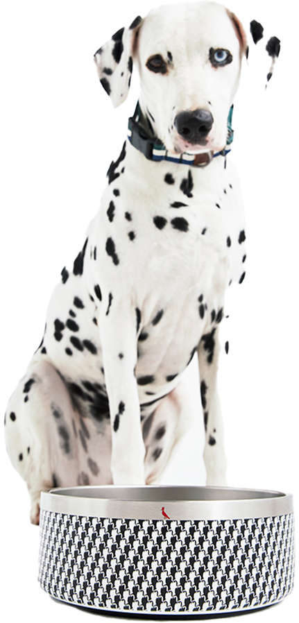 Comedouro Reserva Pied Pica-Pau