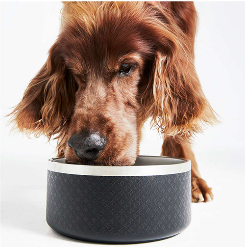 Comedouro Reserva Patterns