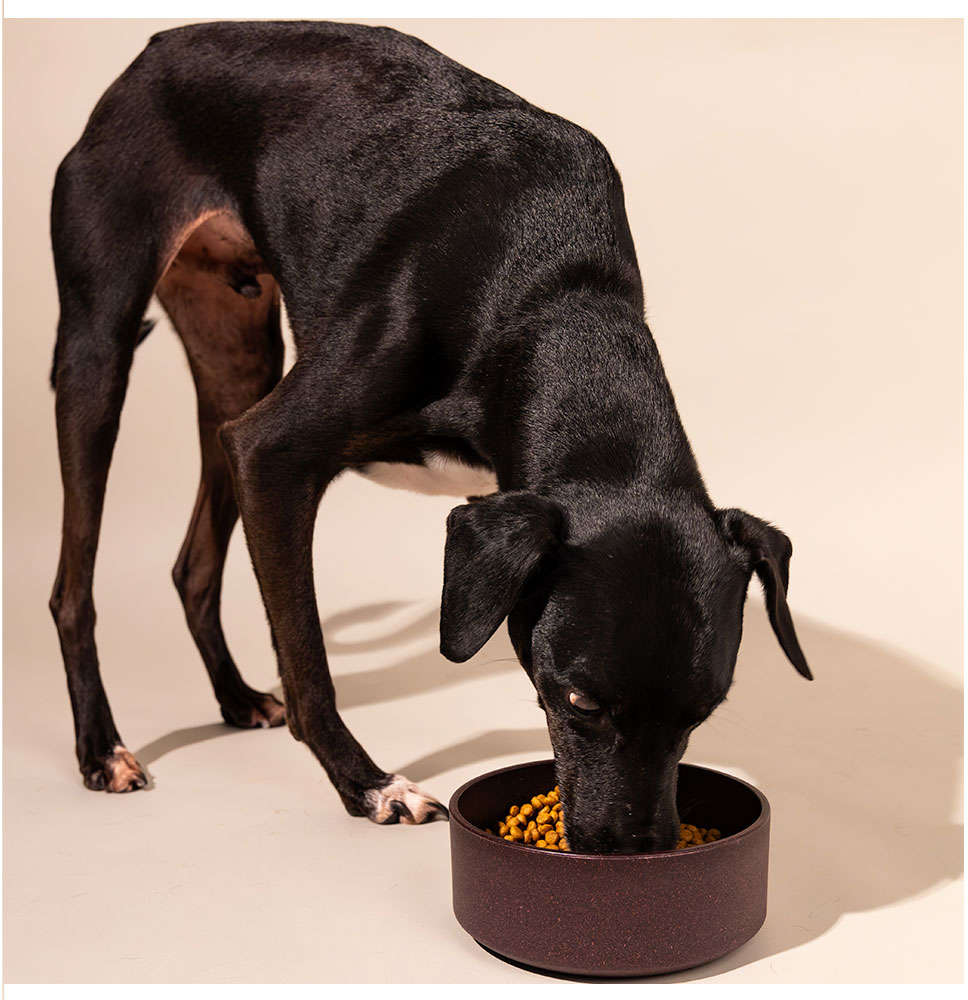 Comedouro Meau de Bambu Bordô para Cães