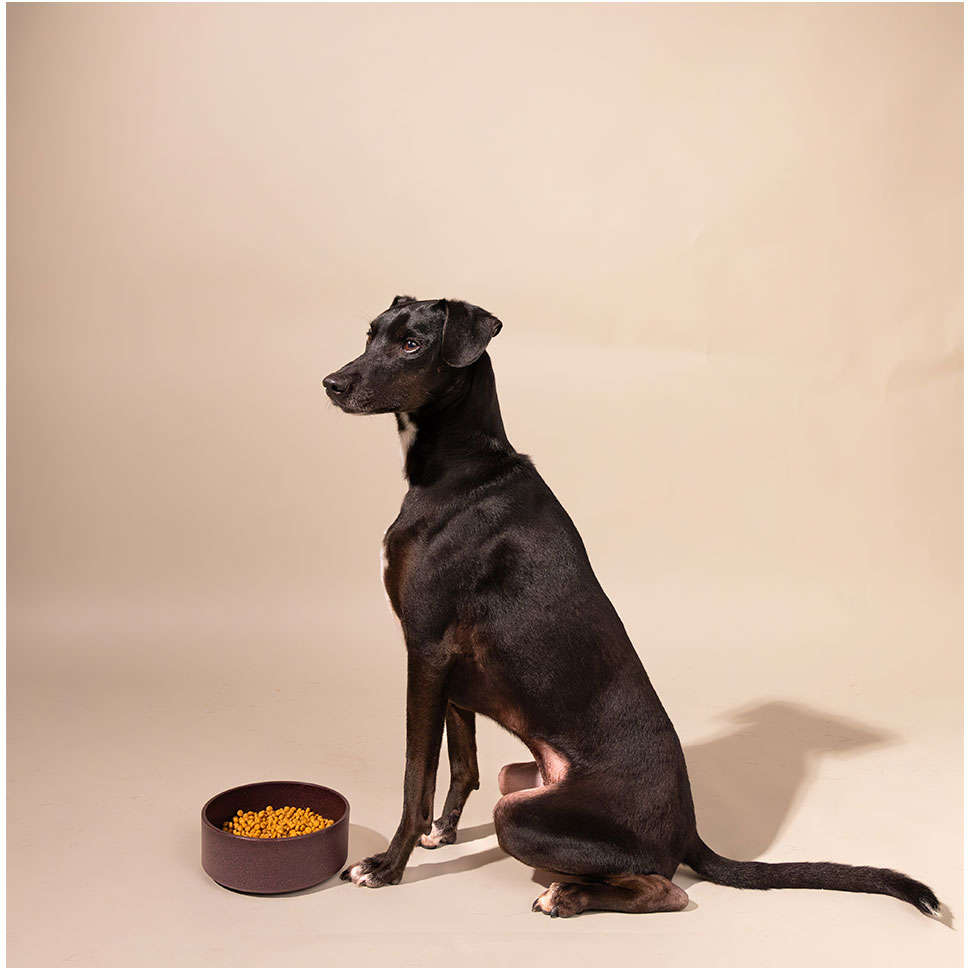 Comedouro Meau de Bambu Bordô para Cães