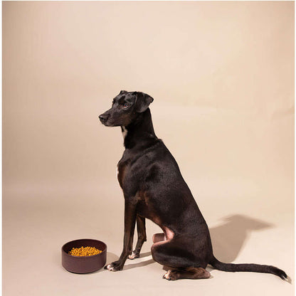 Comedouro Meau de Bambu Bordô para Cães