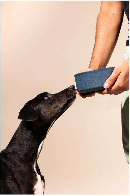 Comedouro Meau de Bambu Navy para Cães