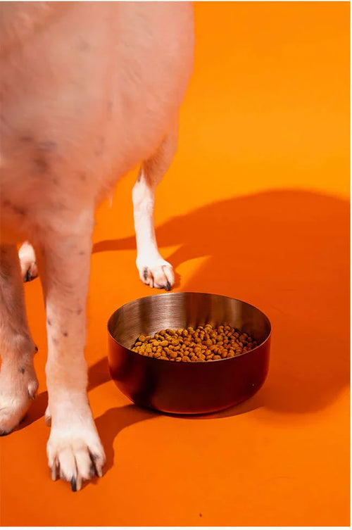 Comedouro Antiderrapante Meau para Cães