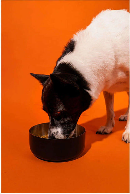 Comedouro Antiderrapante Meau para Cães