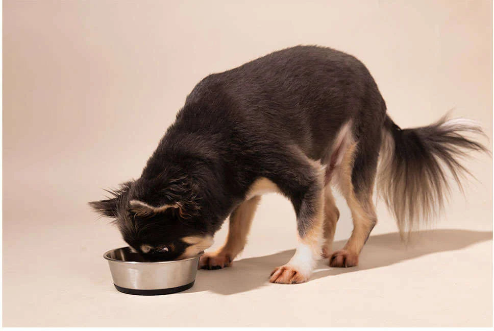 Comedouro Meau Inox Antiderrapante Preto