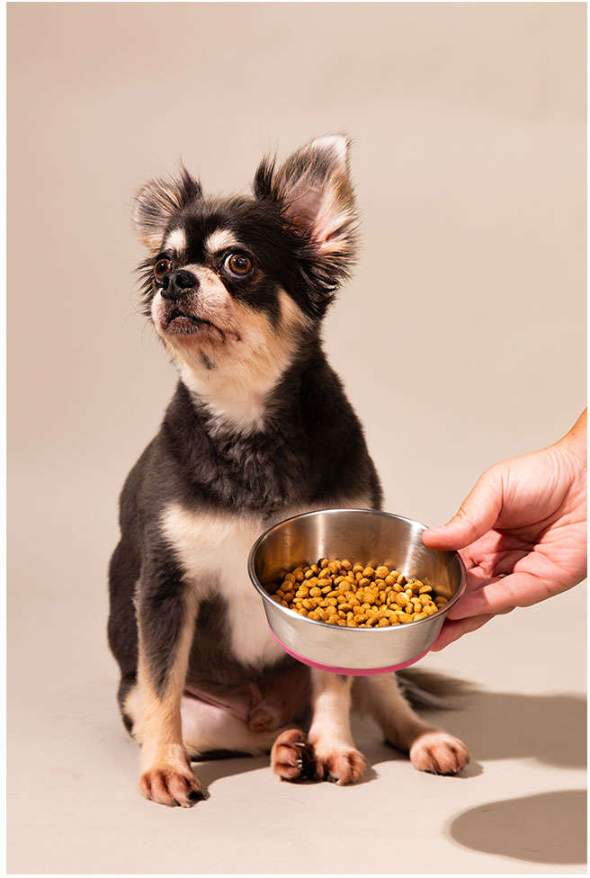 Comedouro Meau Inox Antiderrapante Rosa