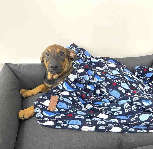 Cobertor Fábrica Pet Ultra Soft Whale