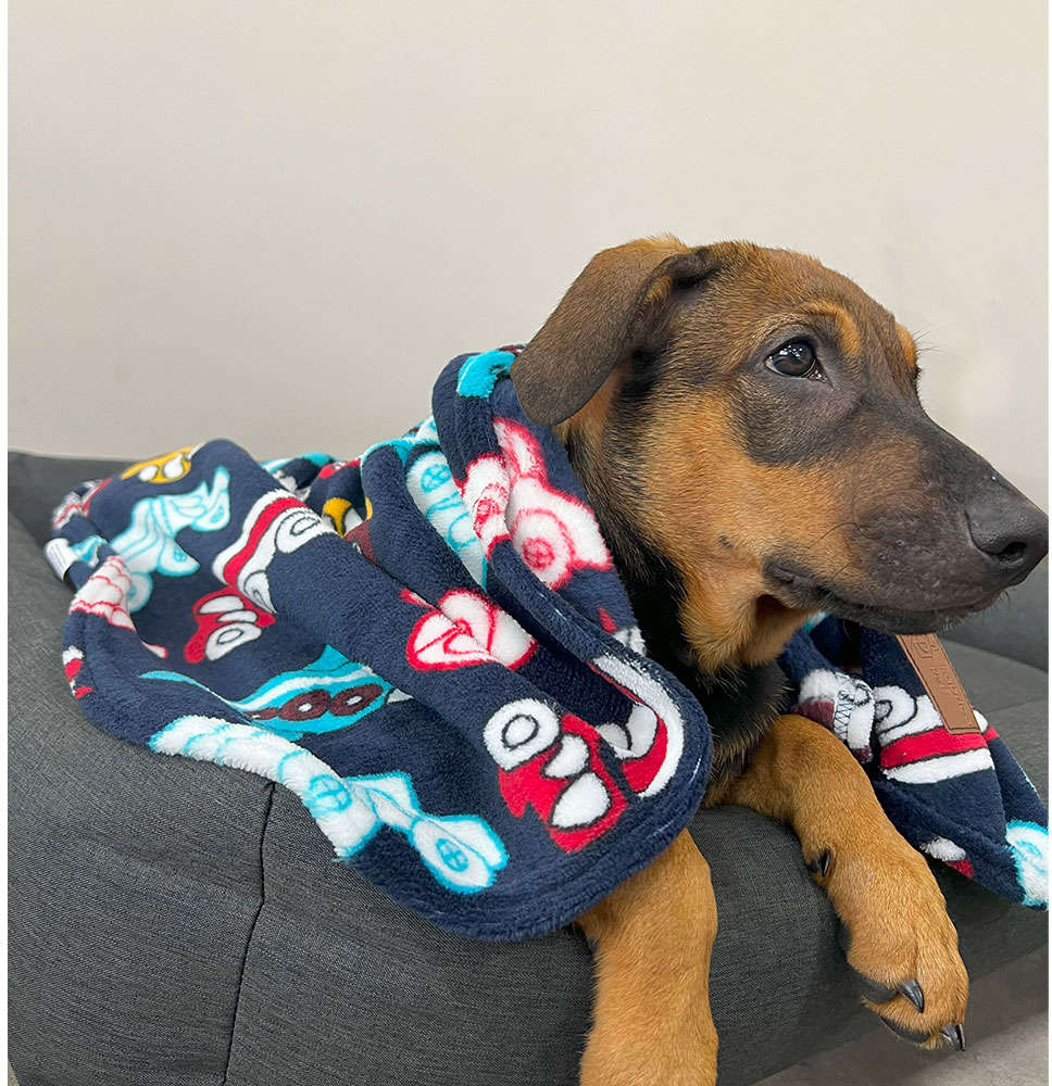 Cobertor Fábrica Pet Ultra Soft Transport