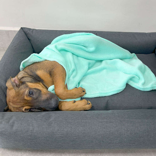 Cobertor Fábrica Pet Ultra Soft Liso Verde Água