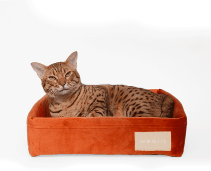 Cama Spot Woolie Terracota para Gatos