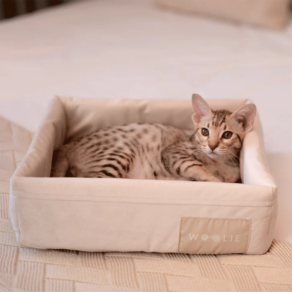 Cama Spot Woolie Bege para Gatos