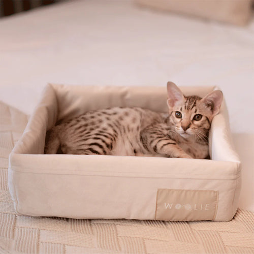 Cama Spot Woolie Bege para Gatos