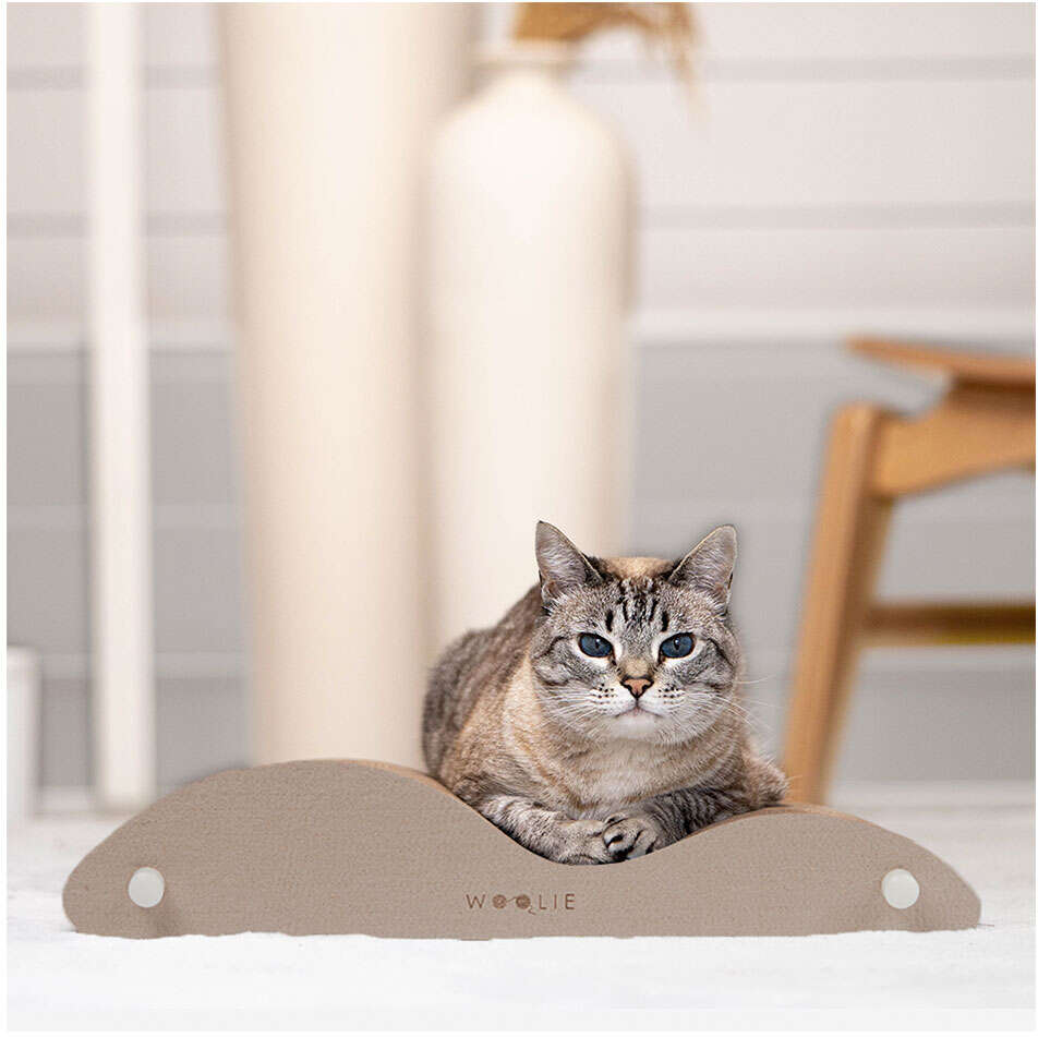 Brinquedo Arranhador Woolie Nature Wave Marrom