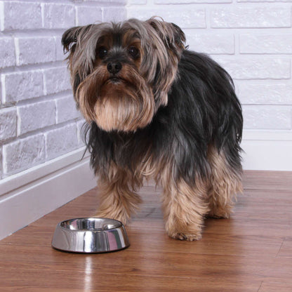 Comedouro Meau Inox para Cães e Gatos