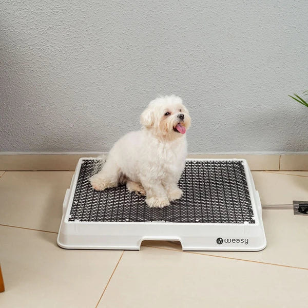 Weasy Cão | Banheiro inteligente para cachorro