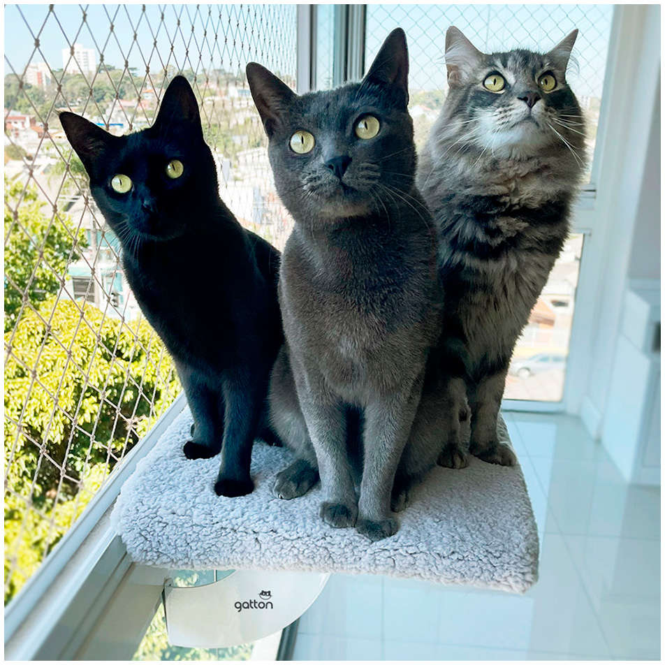 Cama de Janela Spacecat Lunar para Gatos