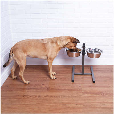 Comedouro e Bebedouro Meau Antiformiga para Cães e Gatos