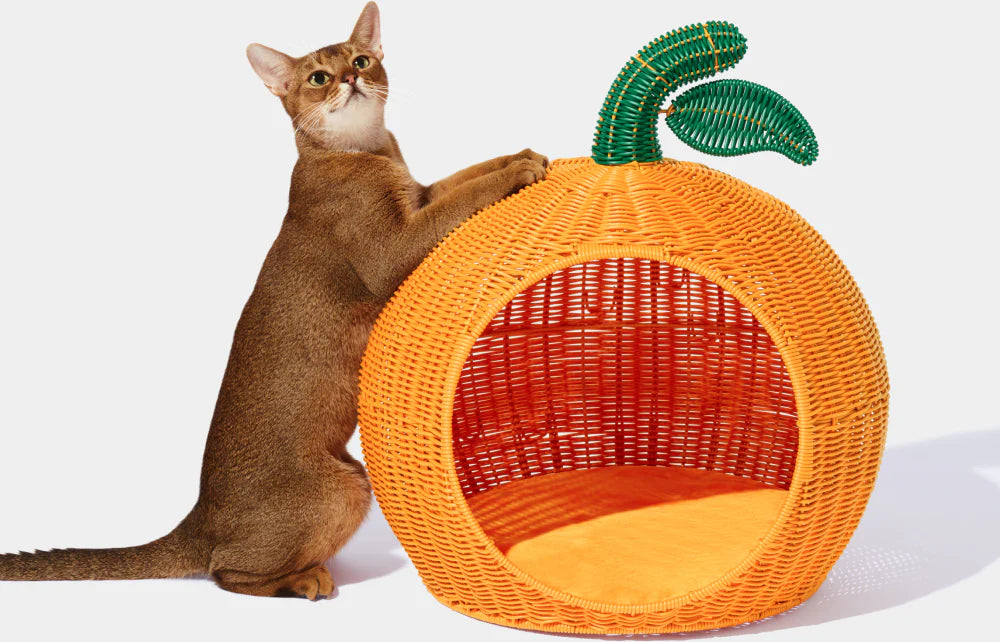 Cama para Gatos Vetreska Tangerina