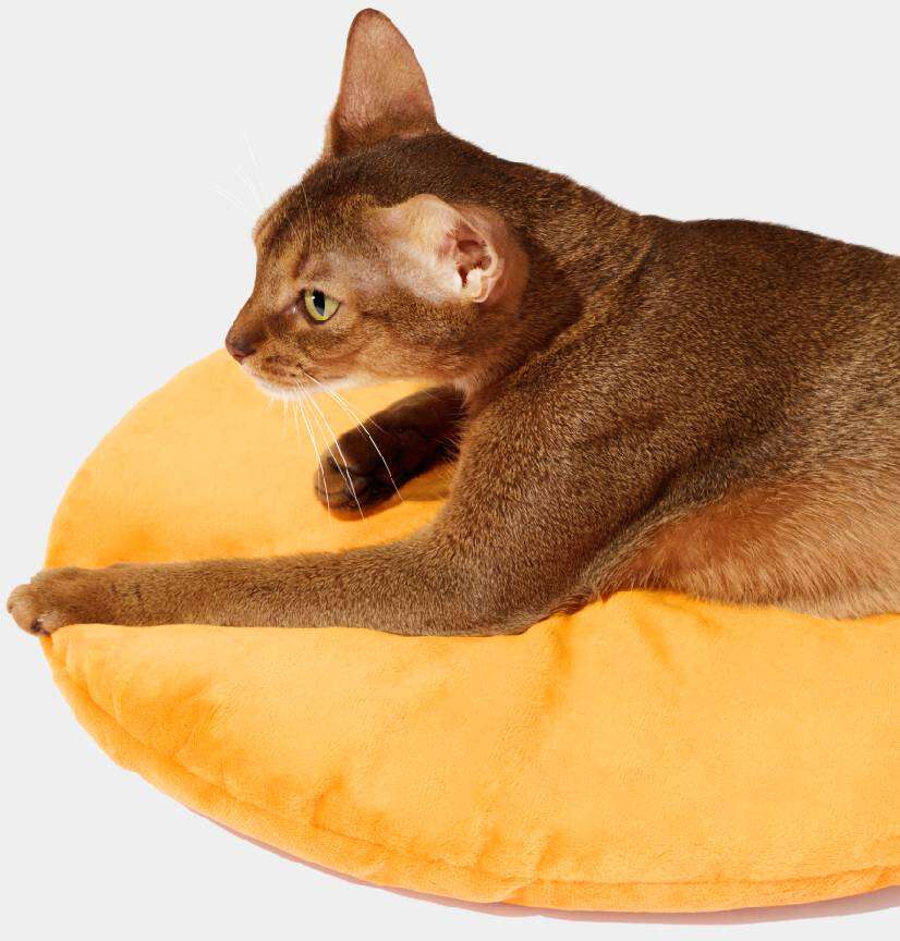 Cama para Gatos Vetreska Tangerina