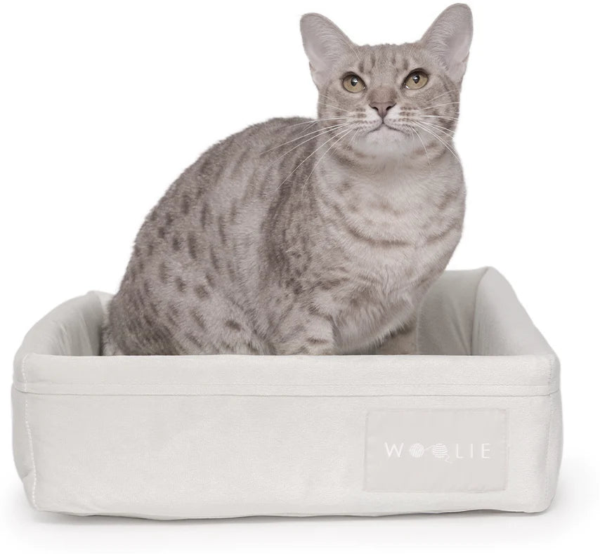 Cama Spot Woolie Off White para Gatos