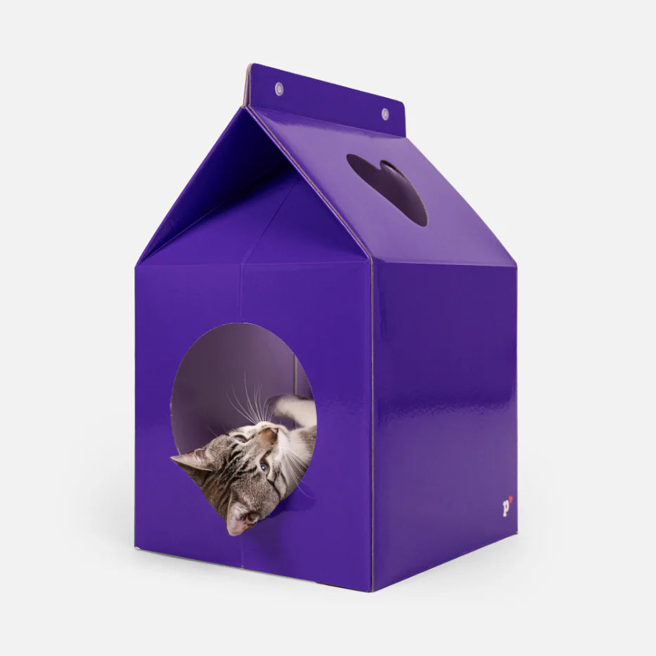 Casinha Arranhador Petlove para Gatos