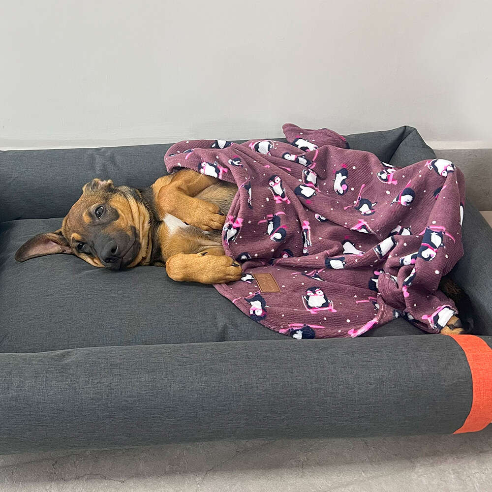 Cobertor Fábrica Pet Ultra Soft Pinguim