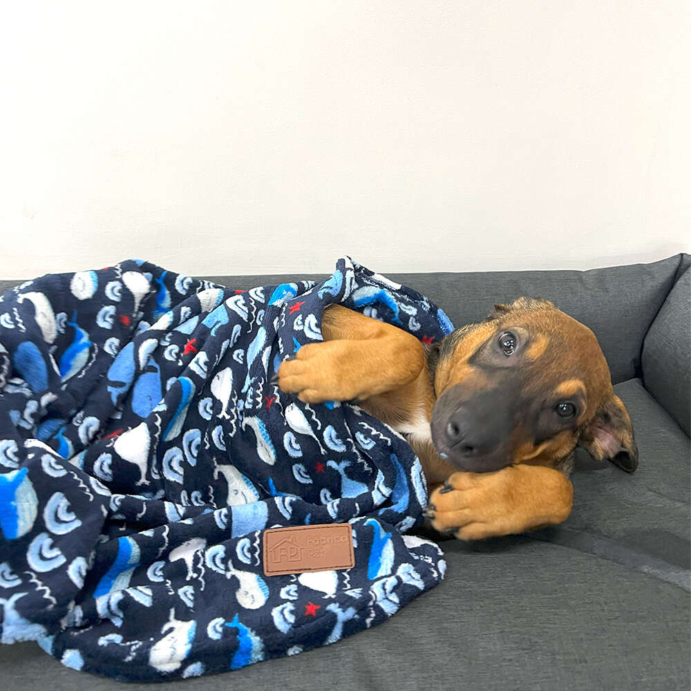 Cobertor Fábrica Pet Ultra Soft Whale