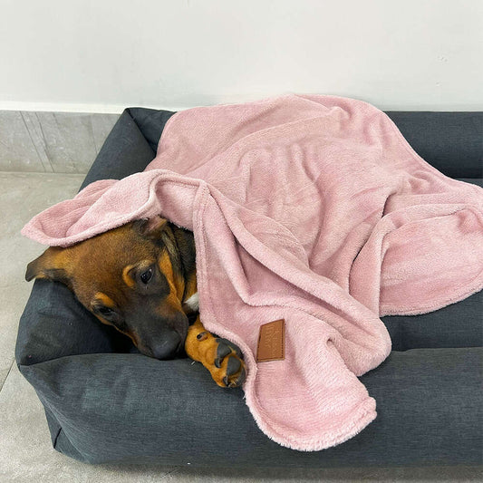 Cobertor Fábrica Pet Ultra Soft Liso Rose