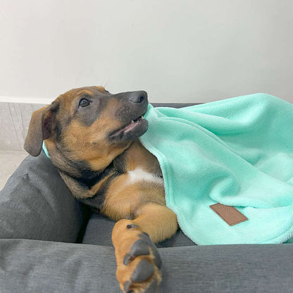 Cobertor Fábrica Pet Ultra Soft Liso Verde Água