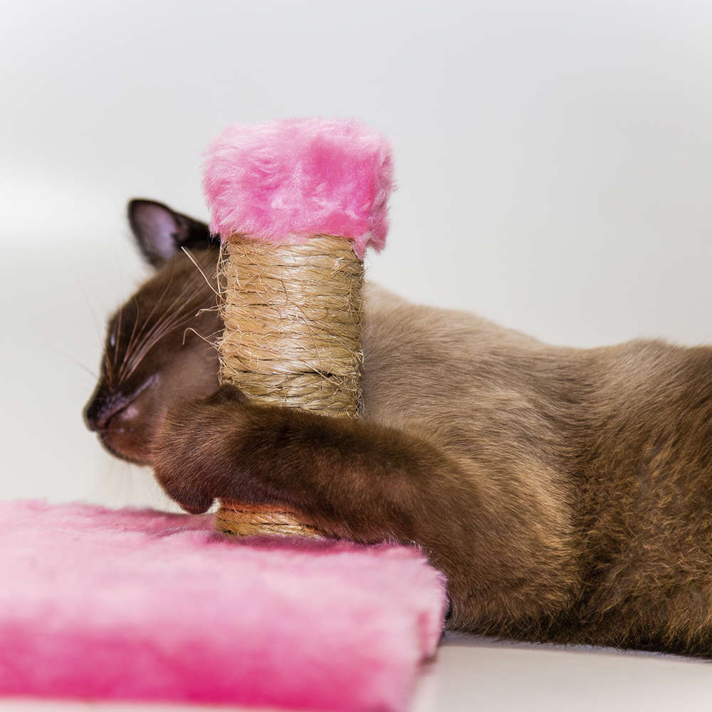 Brinquedo Arranhador Luppet Conforto Quadrado Rosa