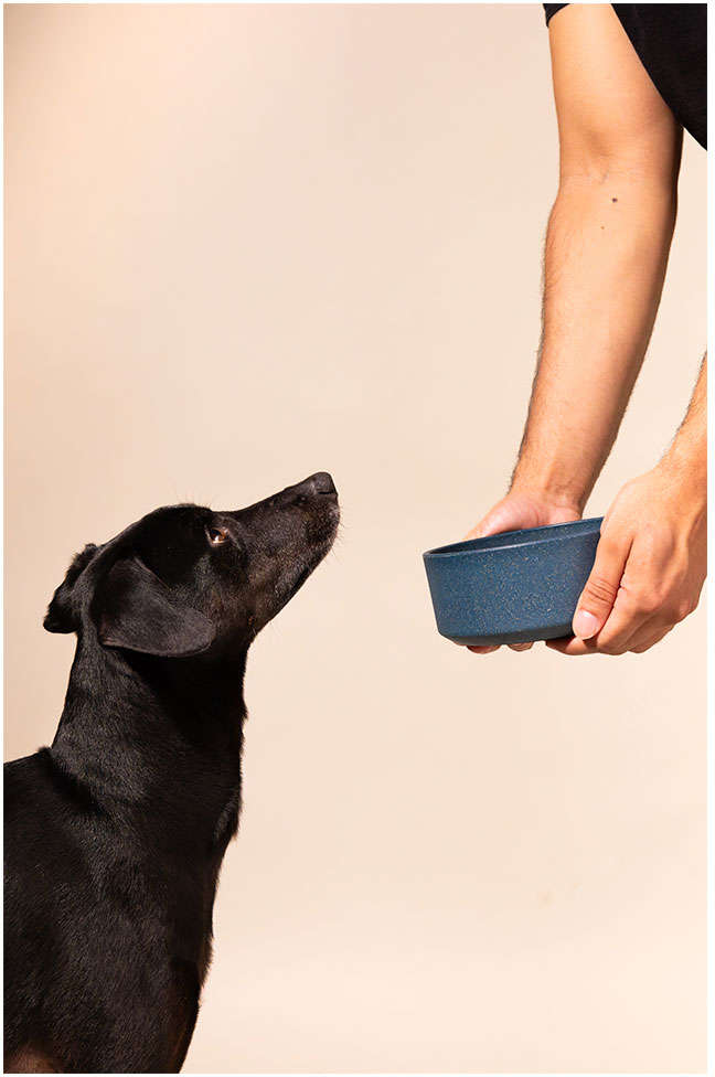 Comedouro Meau de Bambu Navy para Cães