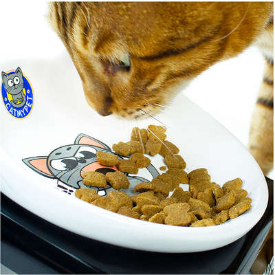 Comedouro CatMyPet Snack Cat Vermelho