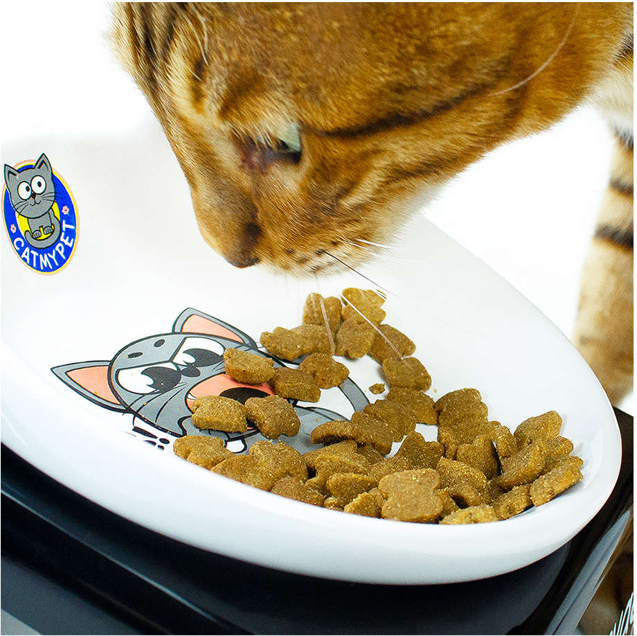 Comedouro CatMyPet Snack Cat Preto