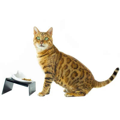 Comedouro CatMyPet Snack Cat Vermelho