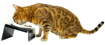 Comedouro CatMyPet Snack Cat Preto