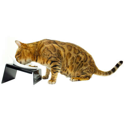 Comedouro CatMyPet Snack Cat Vermelho