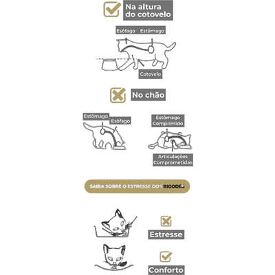 Comedouro Ergonômico Petlon Rosa para Gatos