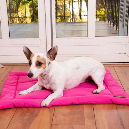 Edredom Fabrica Pet Liso Rosa