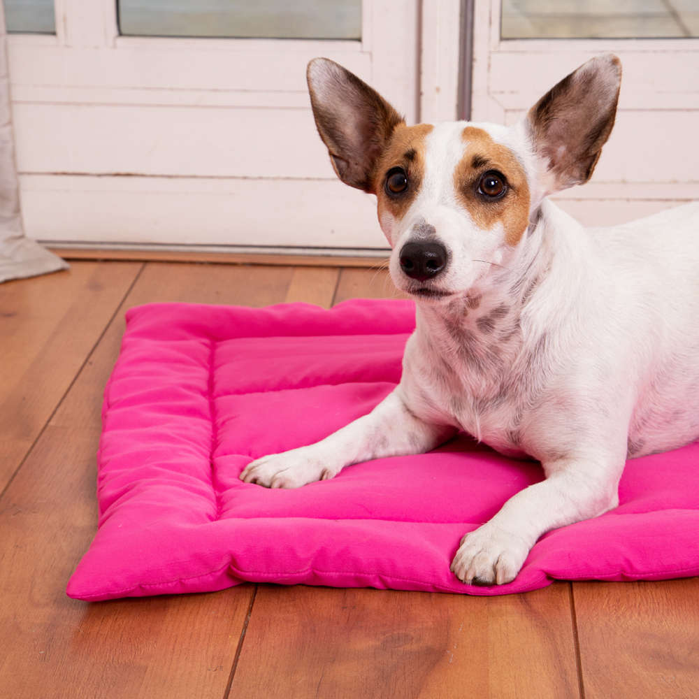 Edredom Fabrica Pet Liso Rosa