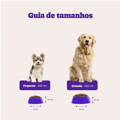 Bowl Future Pet para Cães e Gatos