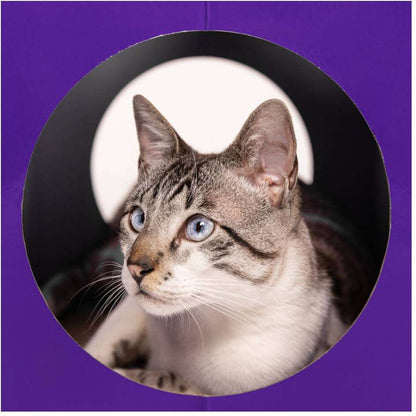 Casinha Arranhador Petlove para Gatos