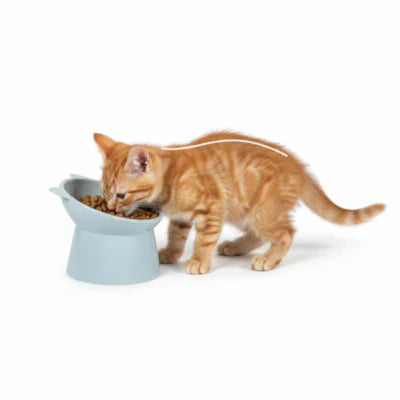 Comedouro Jeito Pet Confort Premium Orelhas de Gato