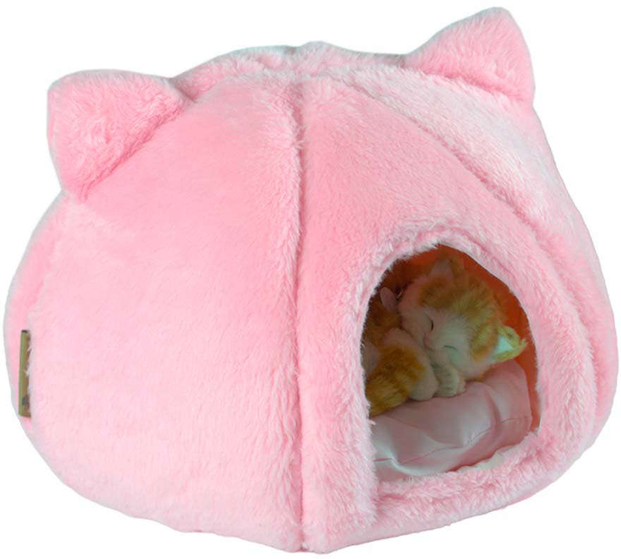 Toca Kitty Mabuu Pet Rosa