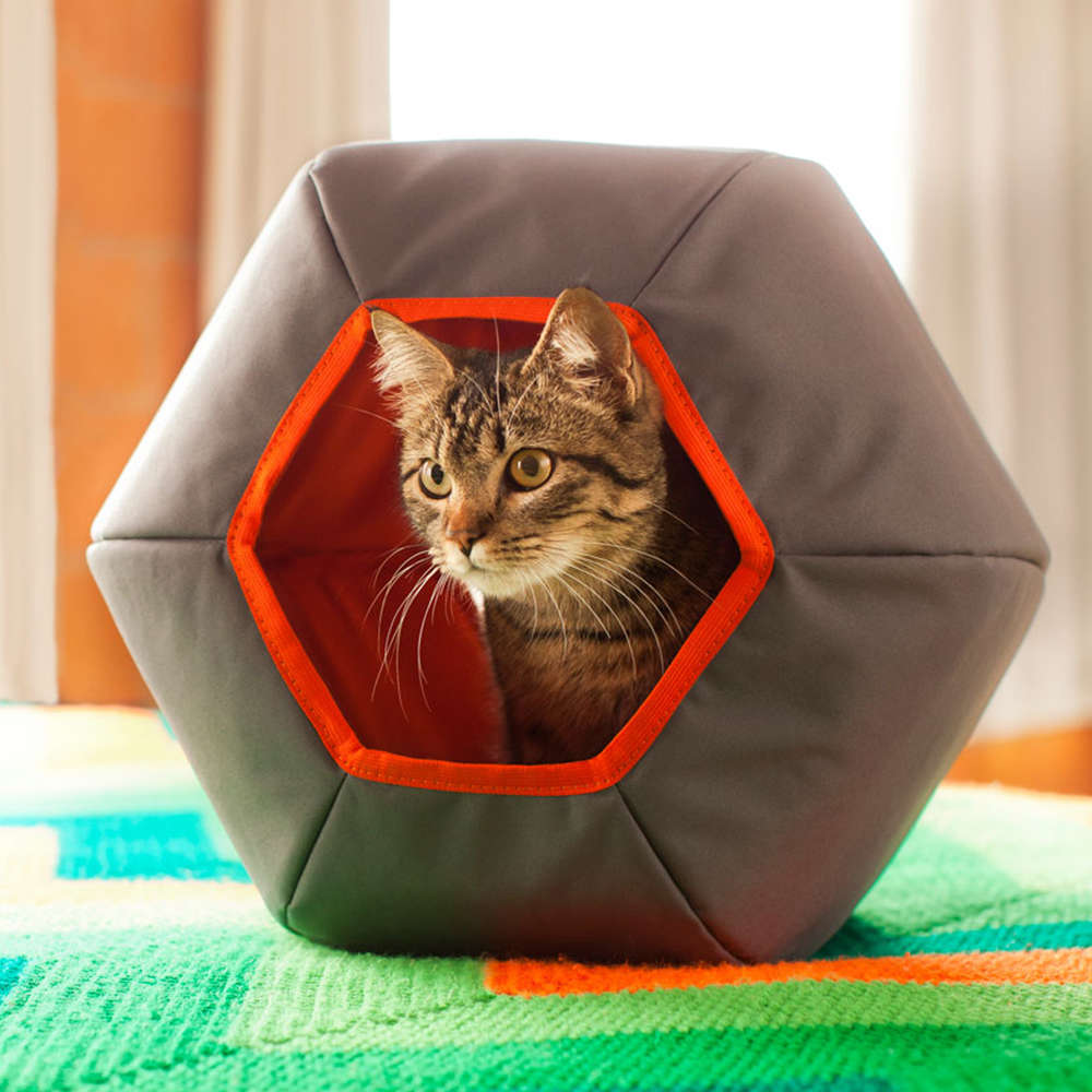 Toca Mundi Gatton Cinza para Gatos